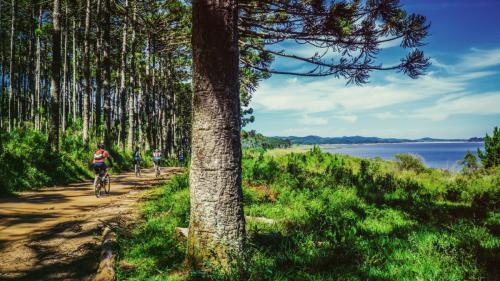 Mountain bike váz, fékek és méretezés tudnivalók